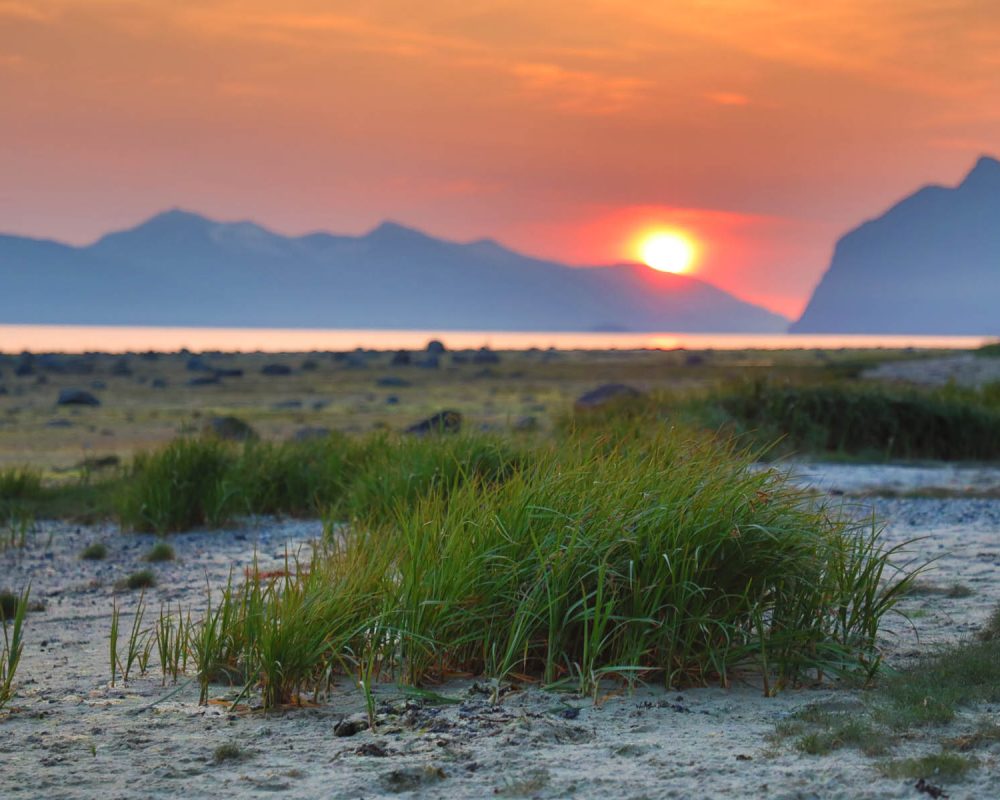 Watching a sunset at a Frederick Sound Beach near Petersburg, Alaska during a FauneVoyage Tour