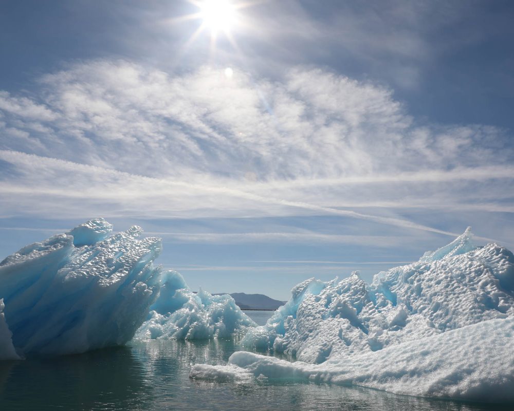 Icebergs in LeConte Bay fjord during glacier photo tour by FauneVoyage Tours in Petersburg, Alaska