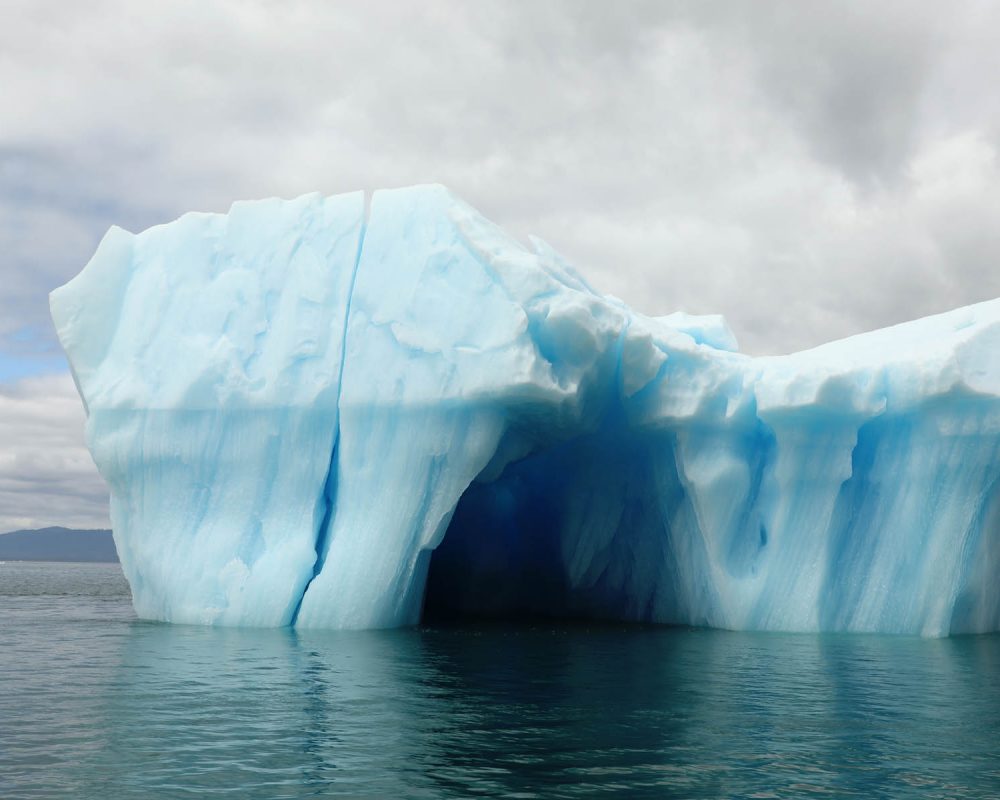 Icebergs in LeConte Bay fjord during glacier photo tour by FauneVoyage Tours in Petersburg, Alaska