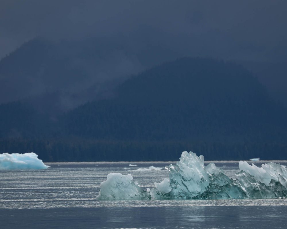 Icebergs in LeConte Bay fjord during glacier photo tour by FauneVoyage Tours in Petersburg, Alaska