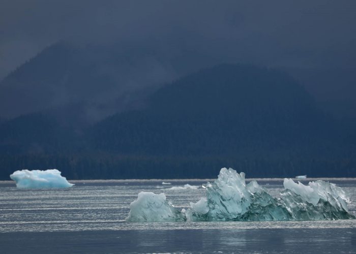 Icebergs in LeConte Bay fjord during glacier photo tour by FauneVoyage Tours in Petersburg, Alaska
