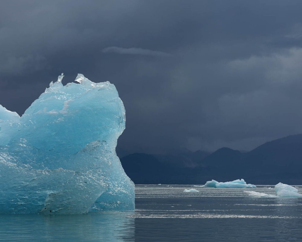 Icebergs in LeConte Bay fjord during glacier photo tour by FauneVoyage Tours in Petersburg, Alaska