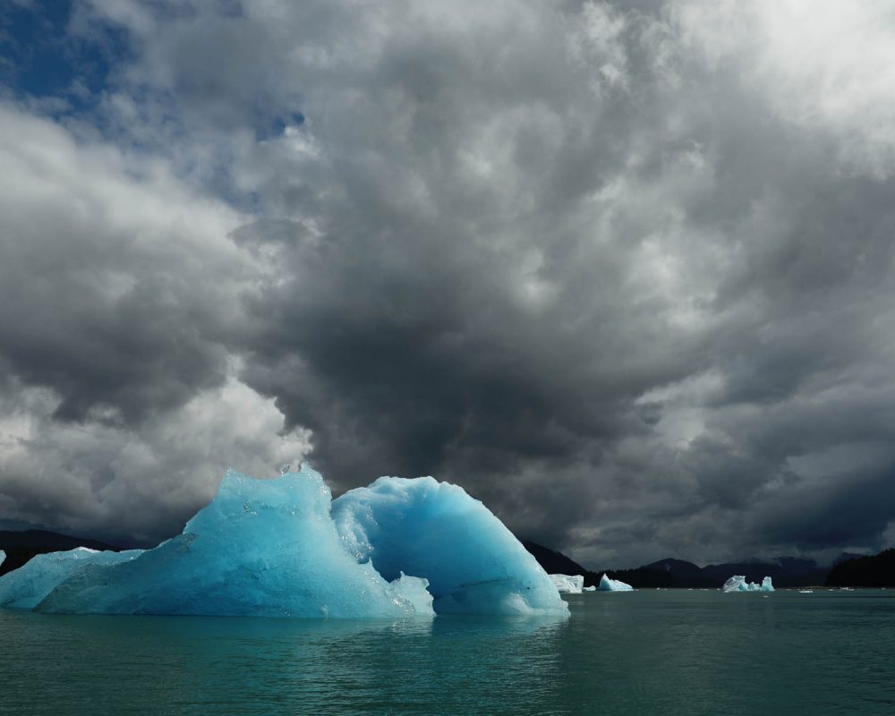 Icebergs in LeConte Bay fjord during glacier photo tour by FauneVoyage Tours in Petersburg, Alaska