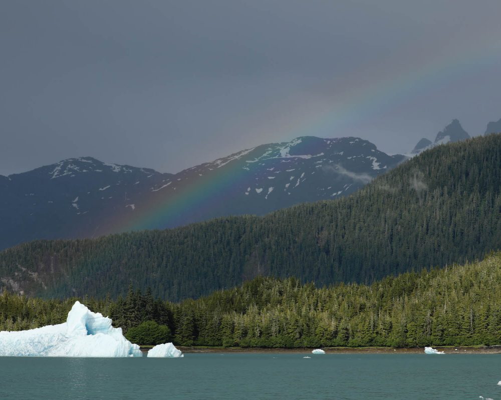 Iceberg in LeConte Bay fjord during glacier photo tour by FauneVoyage Tours in Petersburg, Alaska