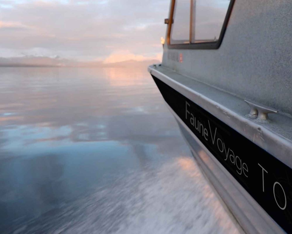 FauneVoyage Boat in Petersburg, Alaska during Frederick Sound tour