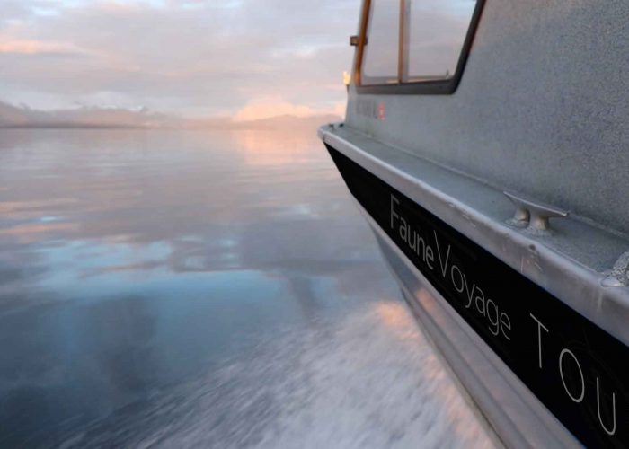 FauneVoyage Boat in Petersburg, Alaska during Frederick Sound tour