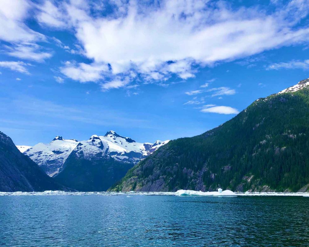 Ice in LeConte Bay during Glacier Tour with FauneVoyage Tours