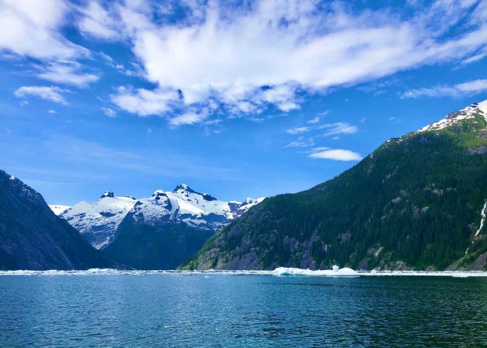 Ice in LeConte Bay during Glacier Tour with FauneVoyage Tours