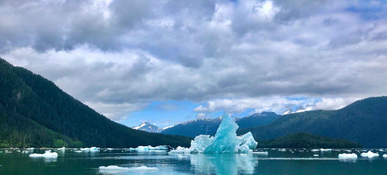 Iceberg in LeConte Bay during Glacier Tour with FauneVoyage Tours