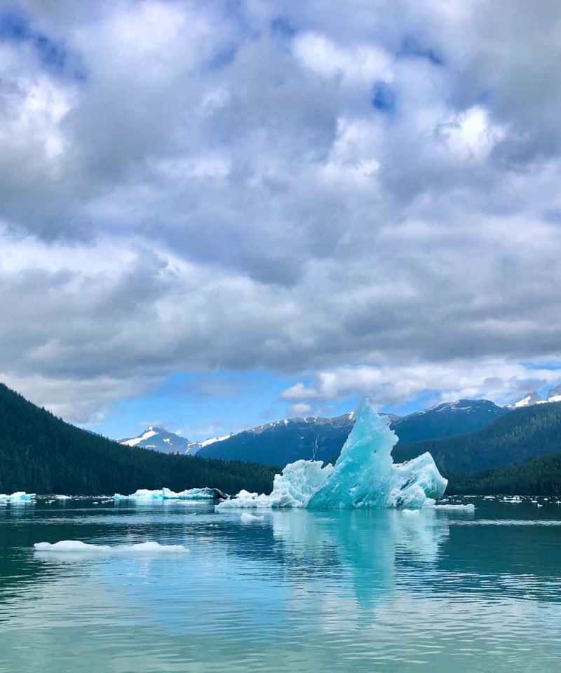 Iceberg in LeConte Bay during Glacier Tour with FauneVoyage Tours